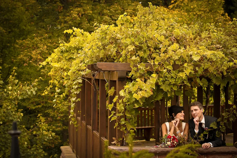Hochzeit im Alten Obstkeller in Mönchberg